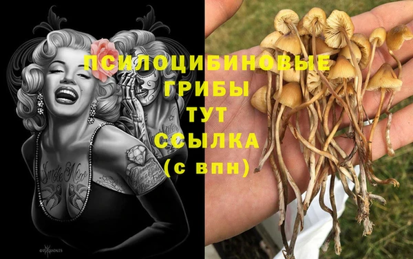 apvp Армянск