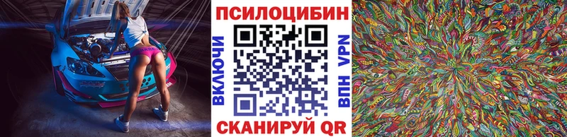 мориарти как зайти  где купить наркотик  Снежногорск  Галлюциногенные грибы прущие грибы 